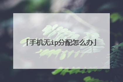 手机无ip分配怎么办