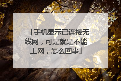 手机显示已连接无线网，可是就是不能上网，怎么回事