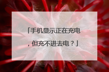 手机显示正在充电,但充不进去电?