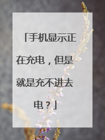 手机显示正在充电，但是就是充不进去电？