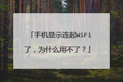 手机显示连起WiFi了,为什么用不了?