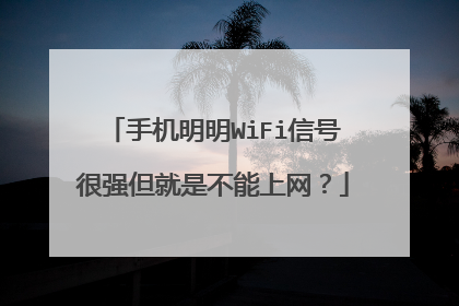 手机明明WiFi信号很强但就是不能上网?