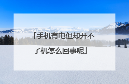 手机有电但却开不了机怎么回事呢