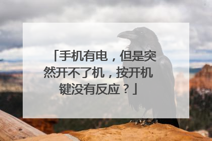 手机有电,但是突然开不了机,按开机键没有反应?