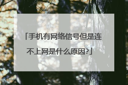 手机有网络信号但是连不上网是什么原因?