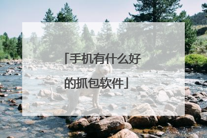 手机有什么好的抓包软件
