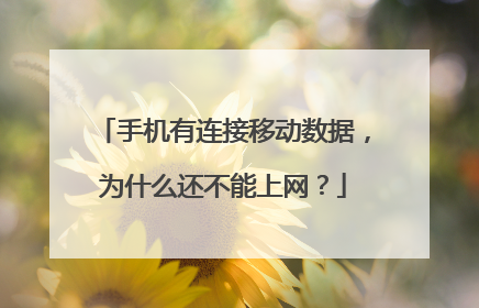 手机有连接移动数据，为什么还不能上网？