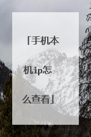 手机本机ip怎么查看
