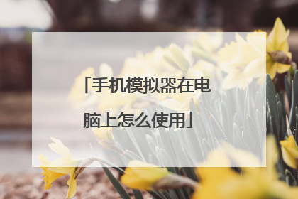 手机模拟器在电脑上怎么使用