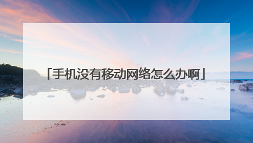 手机没有移动网络怎么办啊