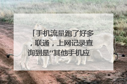 手机流量跑了好多,联通,上网记录查询到是“其他手机应用”-UDP业务