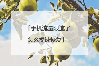 手机流量限速了怎么提速恢复