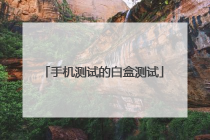 手机测试的白盒测试