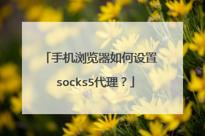 手机浏览器如何设置socks5代理？