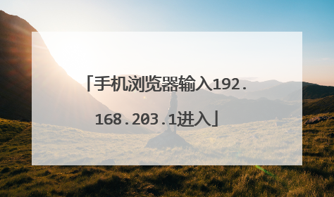 手机浏览器输入192.168.203.1进入