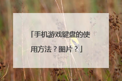 手机游戏键盘的使用方法？图片？