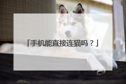 手机能直接连猫吗?