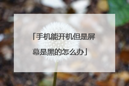 手机能开机但是屏幕是黑的怎么办