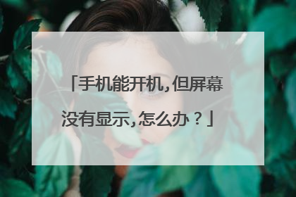 手机能开机,但屏幕没有显示,怎么办？