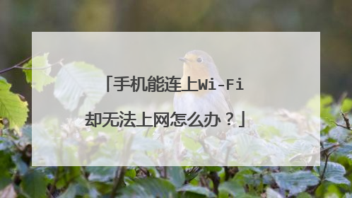 手机能连上Wi-Fi却无法上网怎么办？