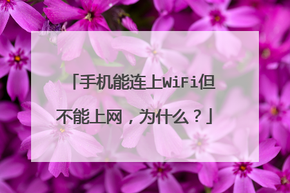 手机能连上WiFi但不能上网，为什么？