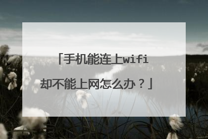 手机能连上wifi却不能上网怎么办?