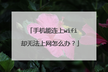 手机能连上wifi却无法上网怎么办？