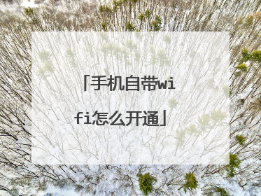 手机自带wifi怎么开通