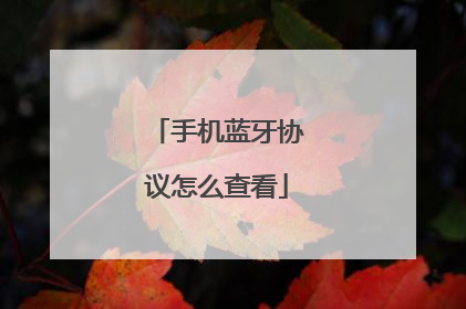 手机蓝牙协议怎么查看