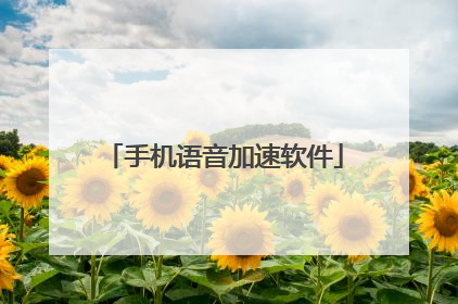 手机语音加速软件