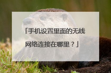 手机设置里面的无线网络连接在哪里？