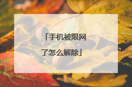 手机被限网了怎么解除