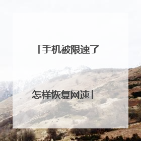 手机被限速了怎样恢复网速