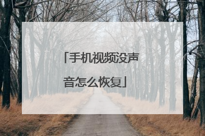 手机视频没声音怎么恢复