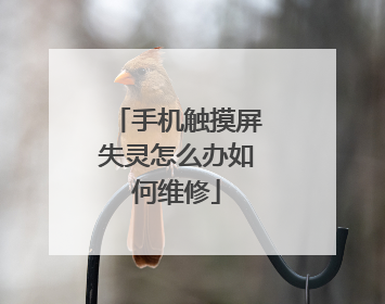 手机触摸屏失灵怎么办如何维修