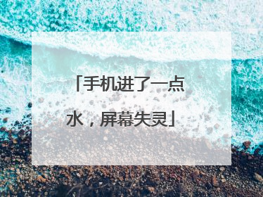 手机进了一点水，屏幕失灵