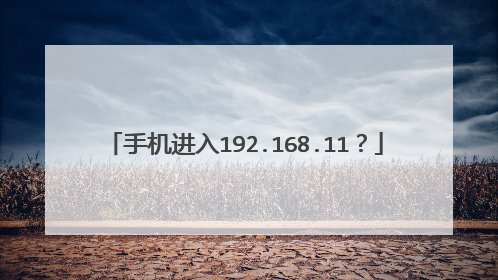 手机进入192.168.11?