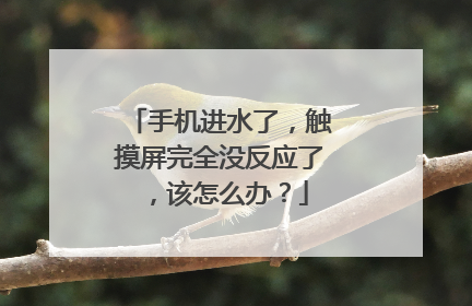 手机进水了，触摸屏完全没反应了，该怎么办？