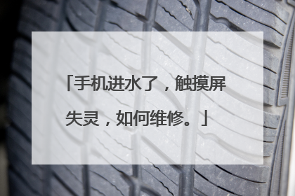 手机进水了，触摸屏失灵，如何维修。