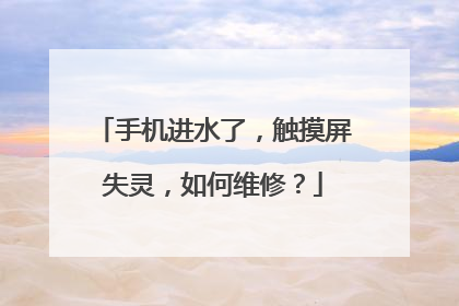 手机进水了，触摸屏失灵，如何维修？