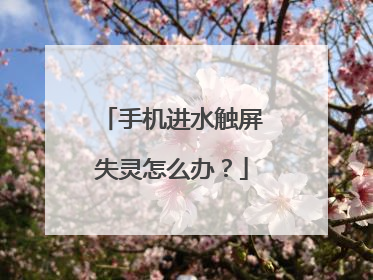 手机进水触屏失灵怎么办？