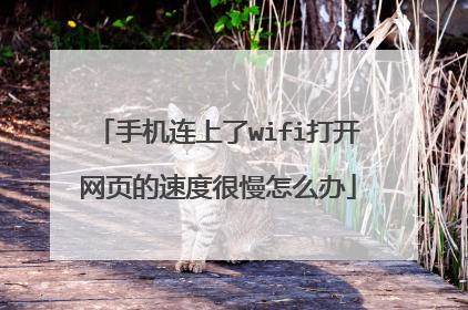 手机连上了wifi打开网页的速度很慢怎么办