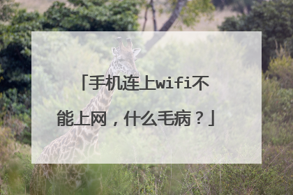 手机连上wifi不能上网,什么毛病?
