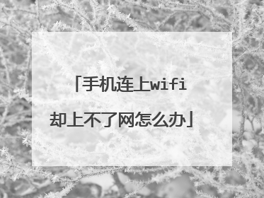 手机连上wifi却上不了网怎么办