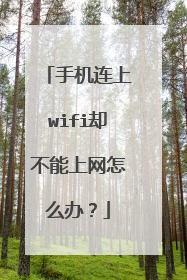 手机连上wifi却不能上网怎么办?