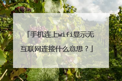 手机连上wifi显示无互联网连接什么意思?