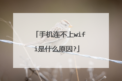 手机连不上wifi是什么原因?