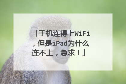 手机连得上WiFi，但是iPad为什么连不上，急求！