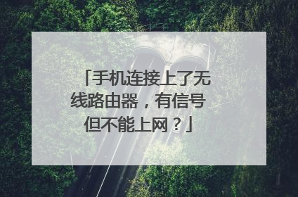 手机连接上了无线路由器,有信号但不能上网?