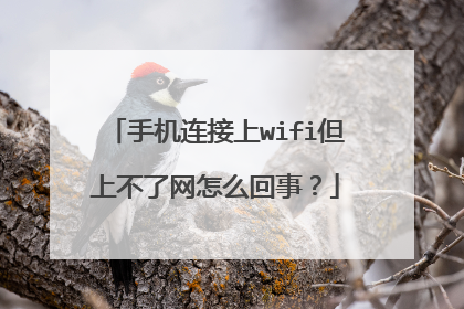 手机连接上wifi但上不了网怎么回事？